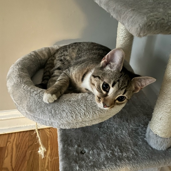 One PHLY trucker (It’s a Philly thing) - Picture 4 of 4